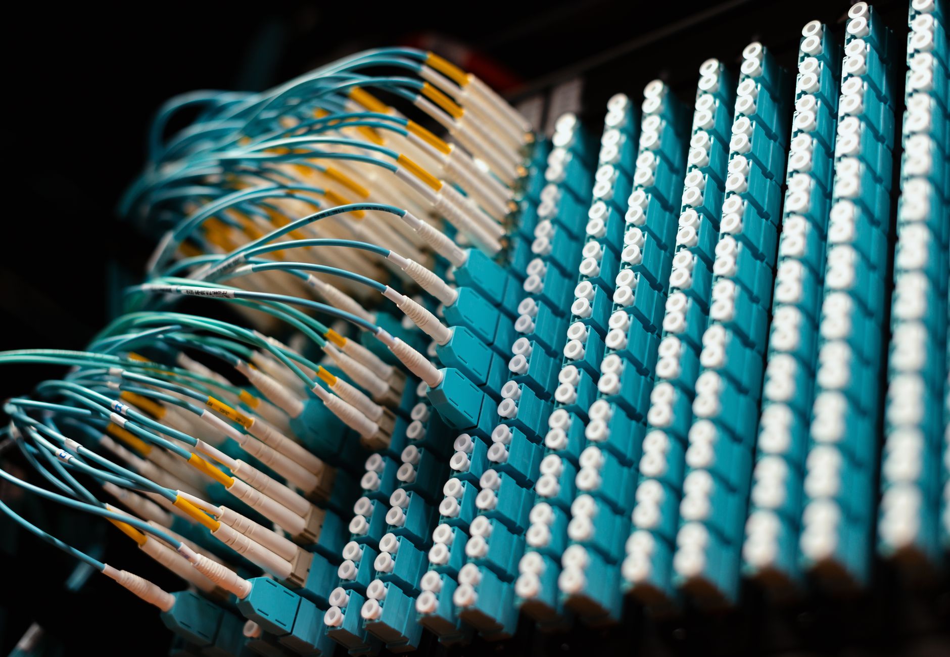 From below of long thin identical blue cables connected to small round electrical connectors