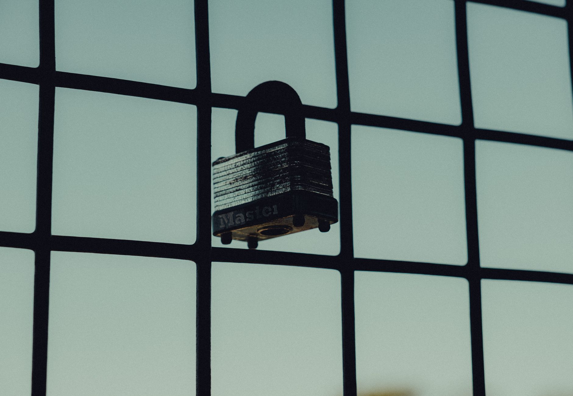 Close-up of a steel padlock on a mesh fence, symbolizing protection and security.